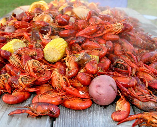 Crawfish Boil | Quest ATX | Your Local Wakeboard Park | Austin, TX